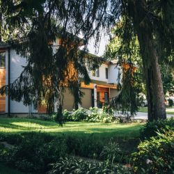 Image depicting the Service Residential Tree Service