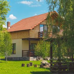 Image depicting the Service Tree Trimming & Pruning